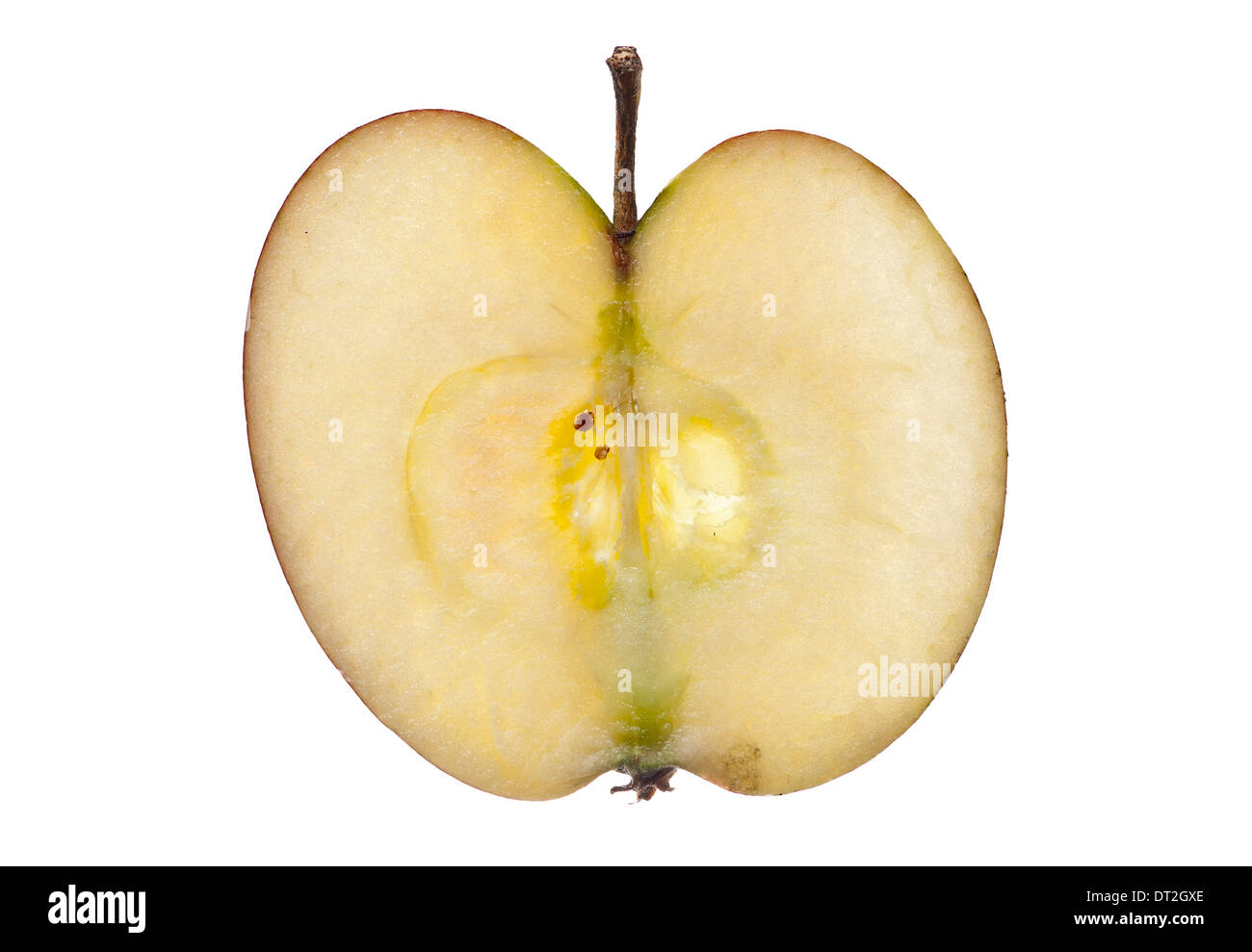 Scheibe des Apfels auf weißem Hintergrund Stockfoto