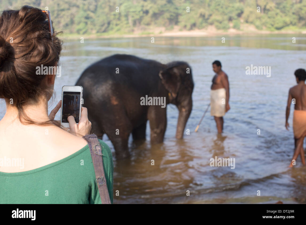 Waschmaschine Elefanten in Indien Stockfoto