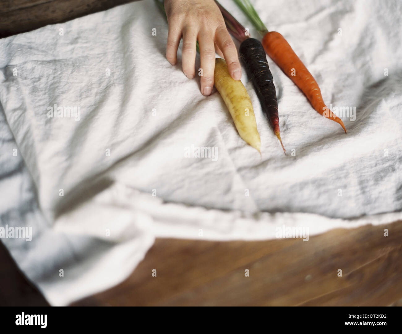 Eine häusliche Küche Tabelle A Person Anordnen von frischen Karotten auf ein weißes Tuch Stockfoto