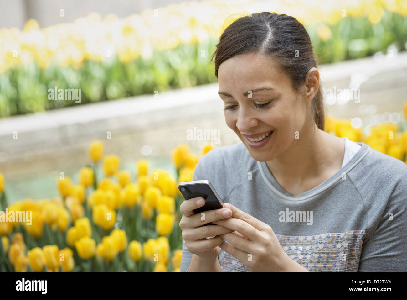 Urban Lifestyle A Frau im Park durch ein Bett von gelben Tulpen mit ihrem Mobiltelefon Stockfoto