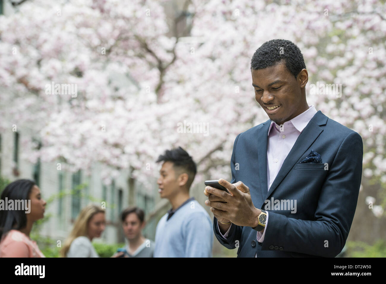 Blick über Citycity Park einen Mann Überprüfung seiner Handy-vier Personen im Schatten eines Baumes Kirschblüte Stockfoto