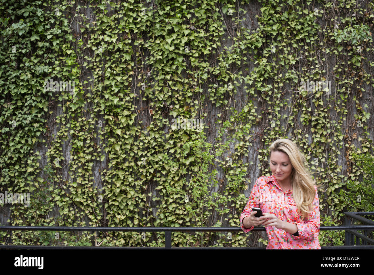 Spring City Park mit einer Wand bedeckt Kletterpflanzen und Efeu A junge blonde kurzhaarige Frau überprüfen ihr Smartphone Stockfoto