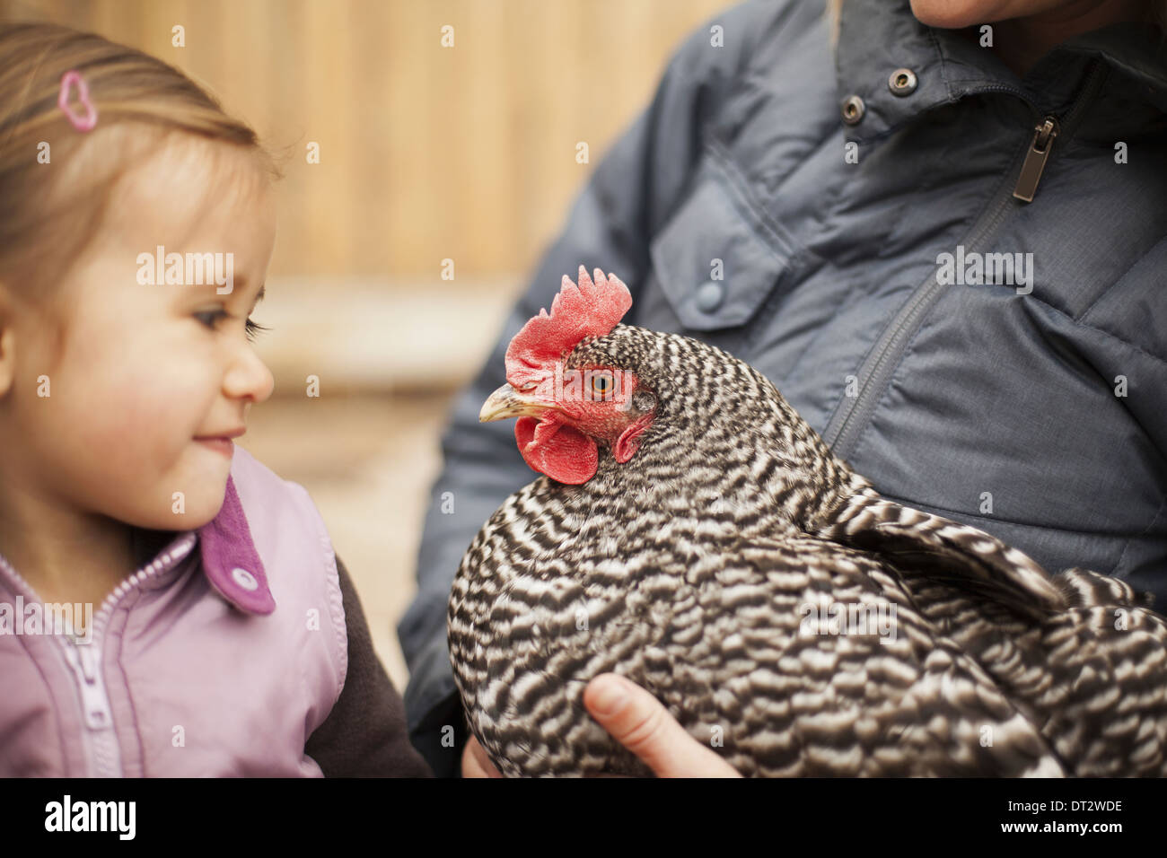 Eine Frau hält ein schwarz-weiß Huhn mit einem roten Coxcomb A jungen Mädchen neben ihr Betrieb eng an das Huhn Stockfoto
