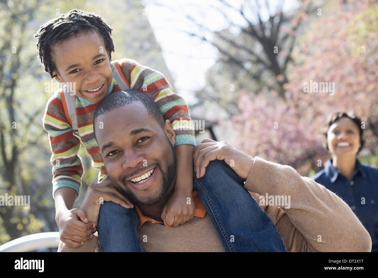 Sonnenschein und Kirschen blühen einen Vater seinen Sohn auf den Schultern tragen Stockfoto