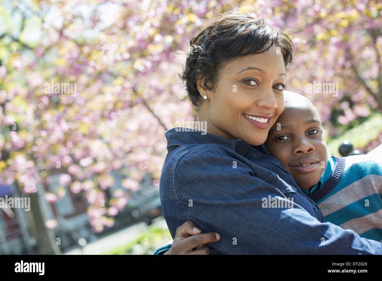 Sonnenschein und Kirschen blühen, Mutter und Sohn Zeit miteinander zu verbringen Stockfoto