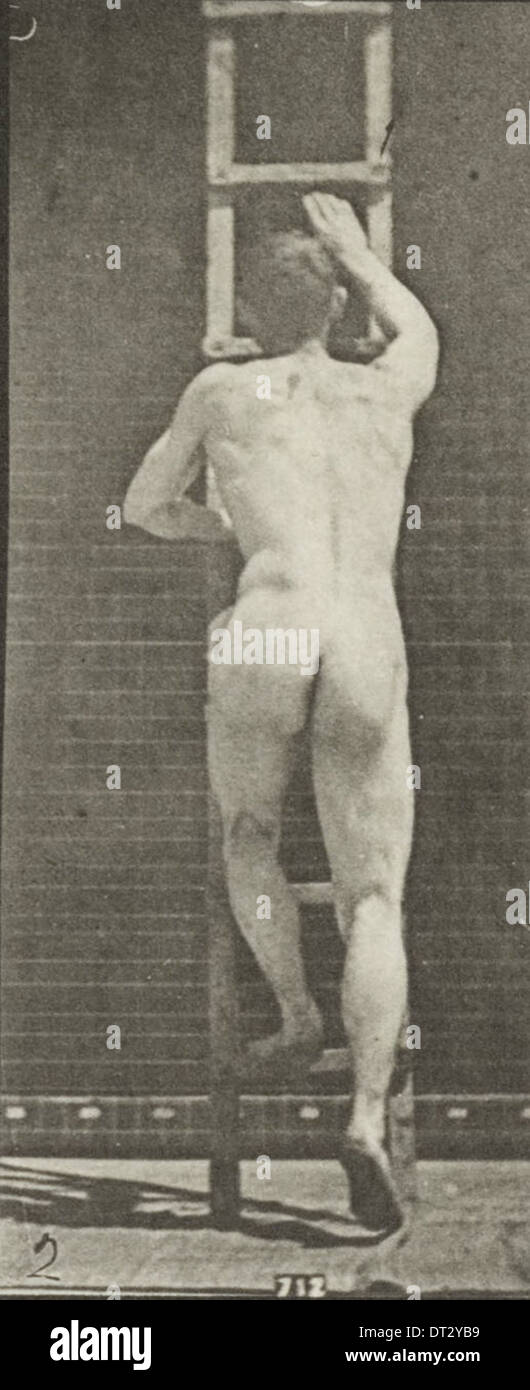Ein Foto eines nackten Mannes, der eine Leiter hinaufsteigt und das Motiv in einem einfachen, ungestörten Moment körperlicher Handlung festnimmt. Stockfoto