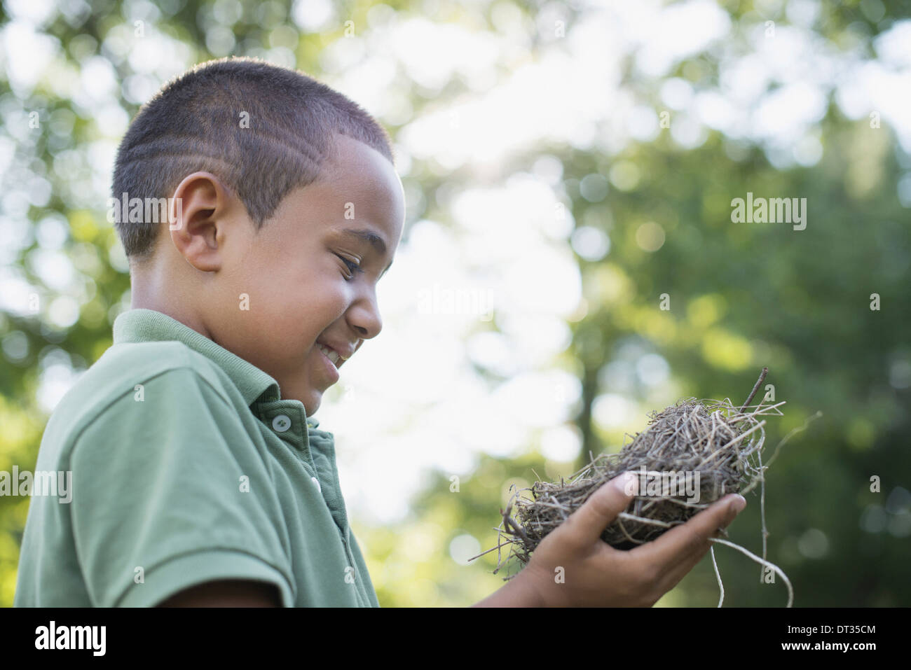 Ein kleiner Junge im Freien an einem Sommertag mit einem Vogelnest Stockfoto