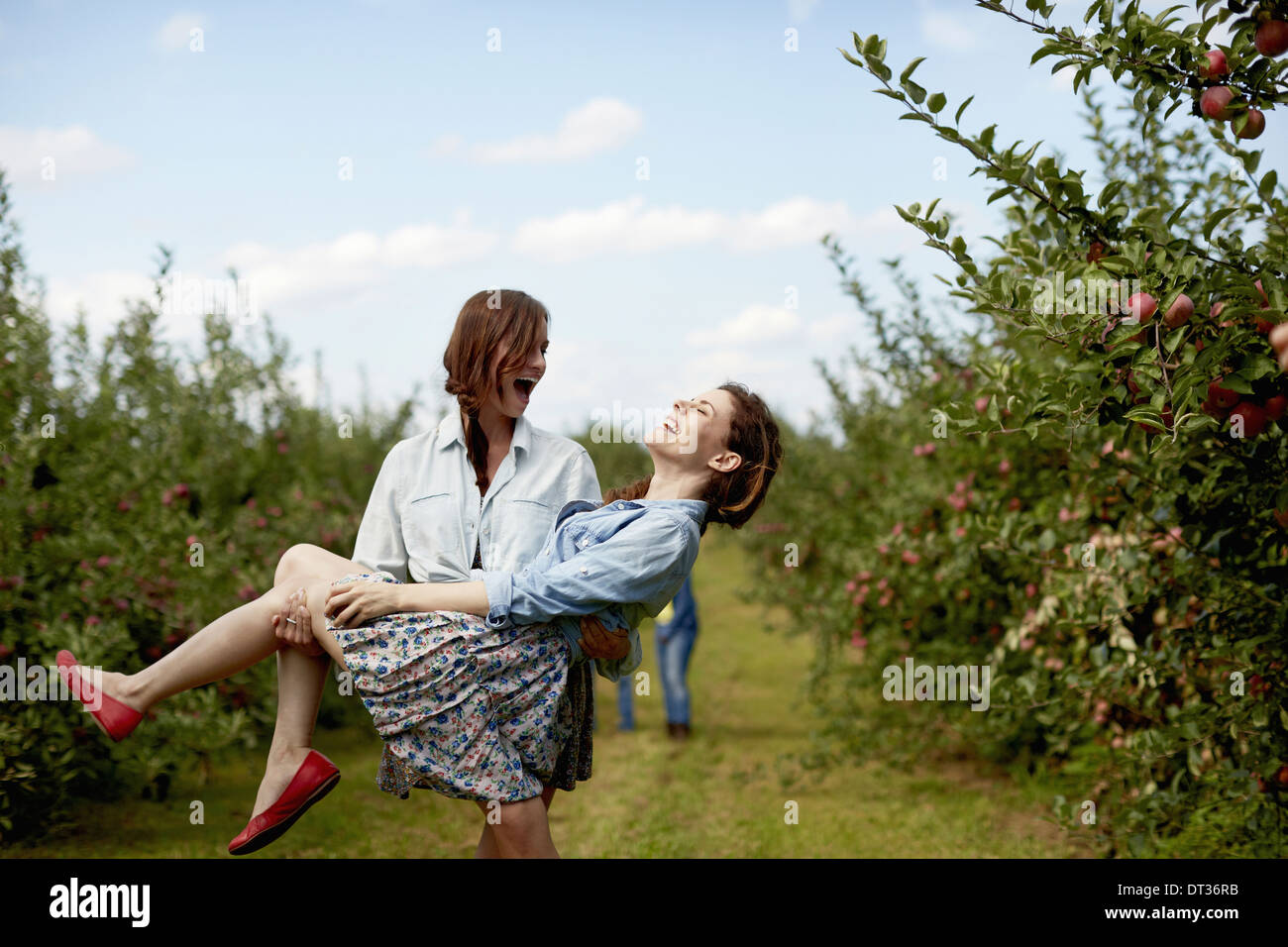 Reihen der Obstbäume in eine Bio-Obstgarten zwei junge Frauen, die eine mit dem anderen lachen Stockfoto