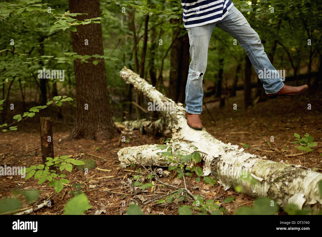 Mann zu Fuß entlang einem gefallenen Baumstamm in die Wälder Bilanzierung Stockfoto