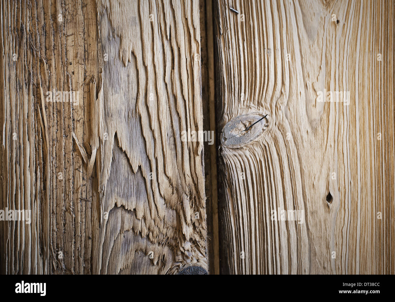 Ein neu gewonnenem Holz Workshop. Nahaufnahme von zwei Holzplatten, mit Ästen und Holz Maserungen. Stockfoto