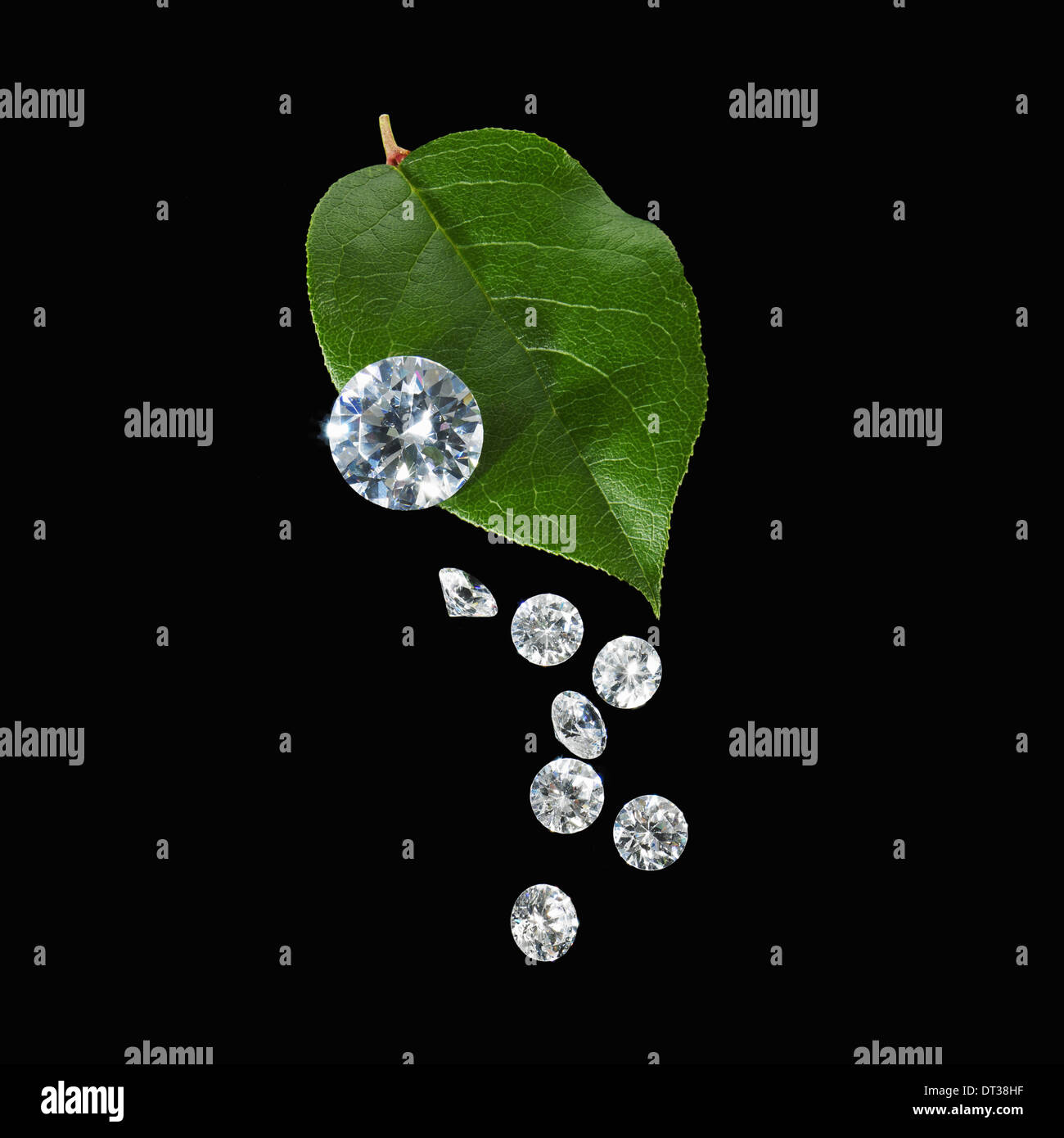 Ein grünes Blatt mit Vene Markierungen. Eine Gruppe von kleinen farbloses Glas Perlen, Edelstein geschnitten mit spiegelnden Oberflächen. Stockfoto