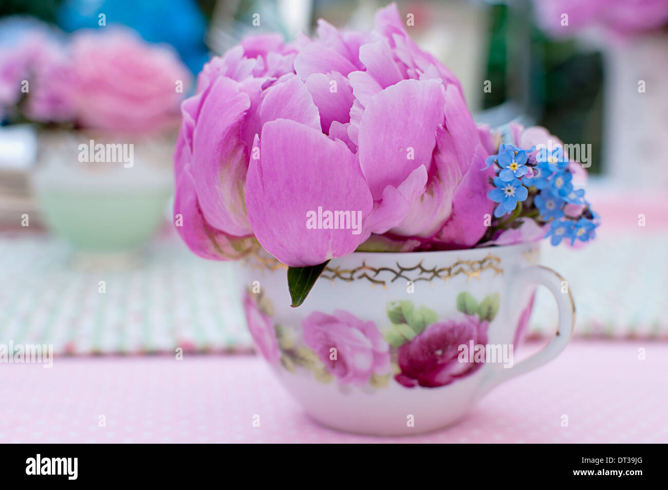 Rosa Pfingstrose und Vergissmeinnicht im Vintage Wasserglas und aus Fokus Teetasse mit Rosen im Hintergrund Stockfoto