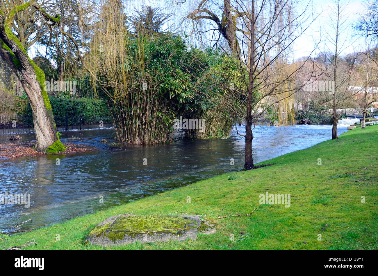 Fluss Itchen in Flut entlang der Wehre in Winchester, Februar 2014. Der Fluss ist aus Bank und Überschwemmungen Wege und Gärten. Stockfoto