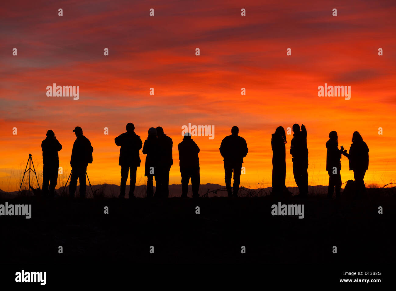 Fotografen bei Sonnenuntergang, Skagit Wohnungen, Washington Stockfoto