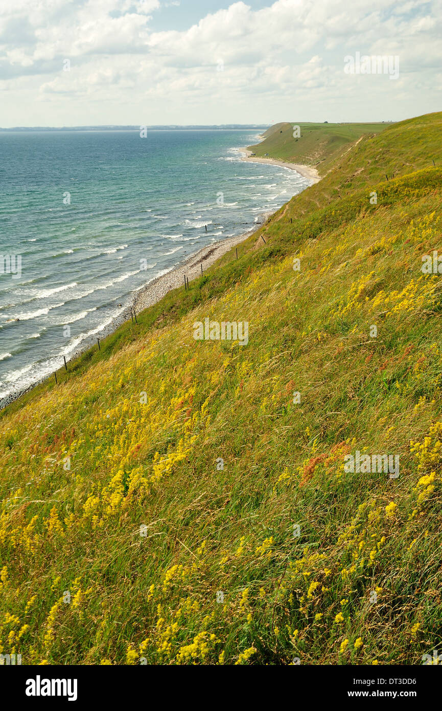 Hügelige Felder mit dem Meer im Hintergrund Stockfoto