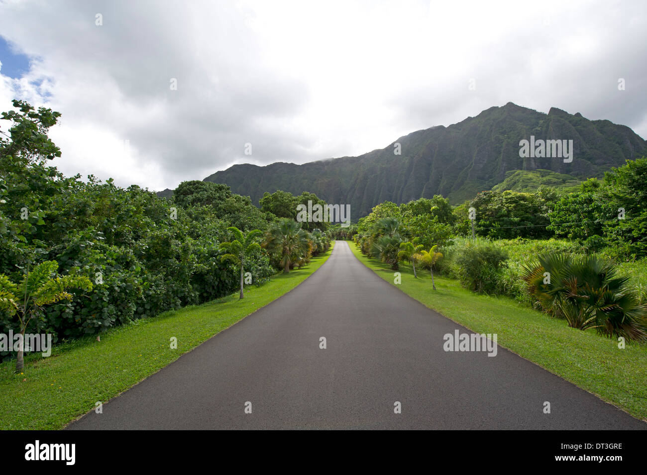 Strasse Nach Ho Omaluhia Botanischer Garten Auf Der Insel Oahu