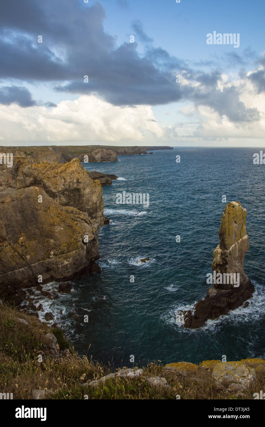 Elegug Stacks an der walisischen Küste im Pembrokeshire Coast National Park, Wales, Großbritannien Stockfoto