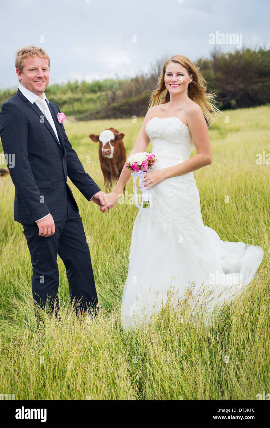 Land-Hochzeit, glückliche Braut und Bräutigam mit Kuh Stockfoto