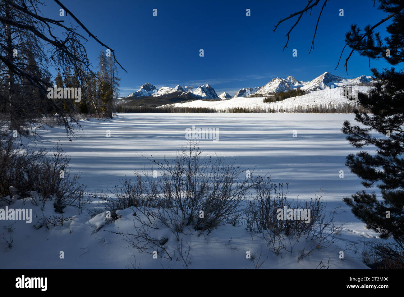 Gefrorene Winter See und Bäumen in Idaho Stockfoto