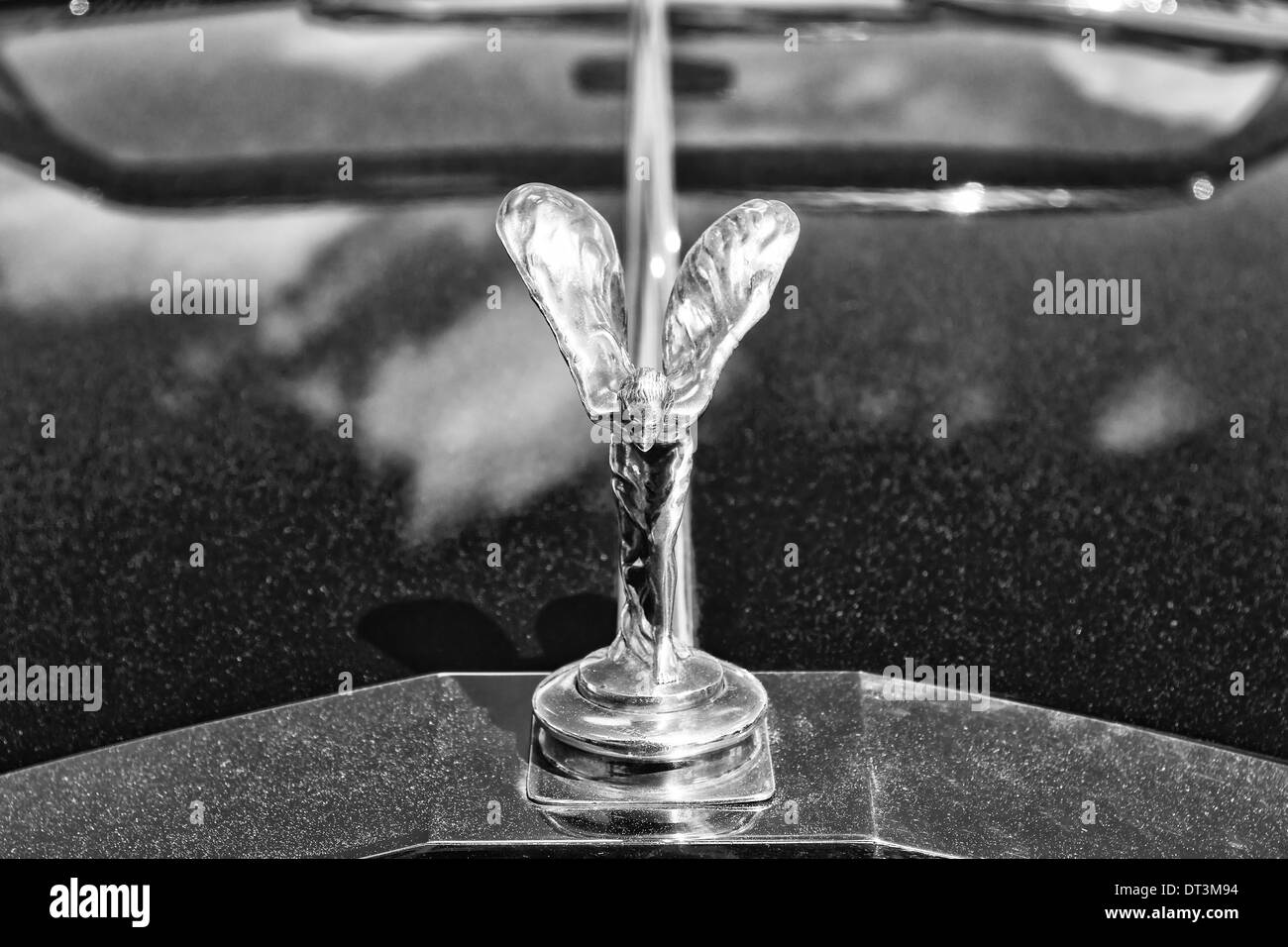 Das berühmte Wahrzeichen "Spirit of Ecstasy" auf einen Rolls-Royce Corniche Stockfoto