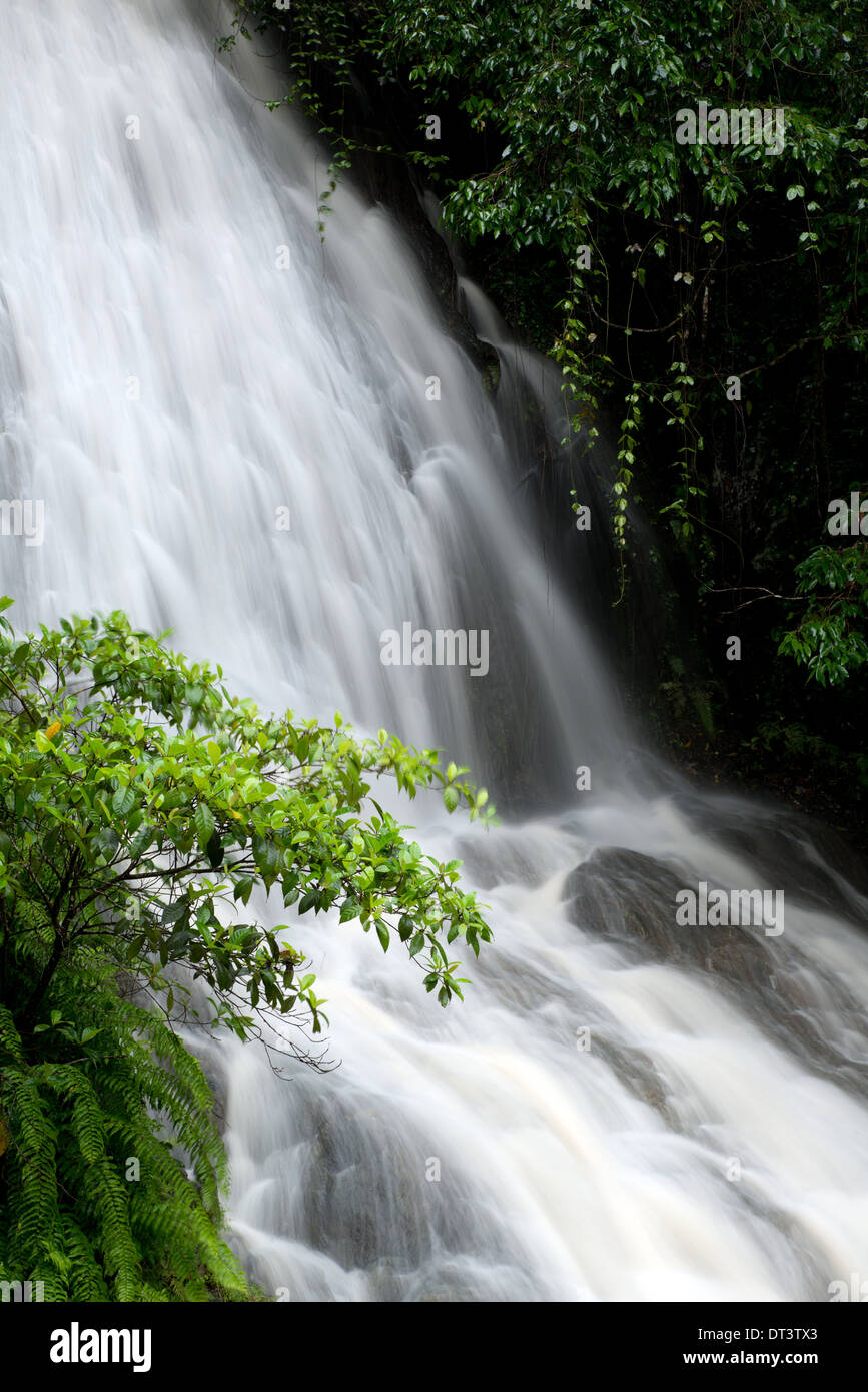 Barron Schlucht in der Nähe von Cairns, Queensland, Australien Stockfoto