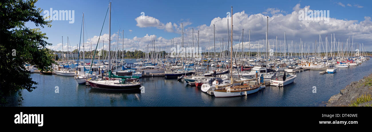 Oak Bay Marina in Panorama zu sehen. Stockfoto