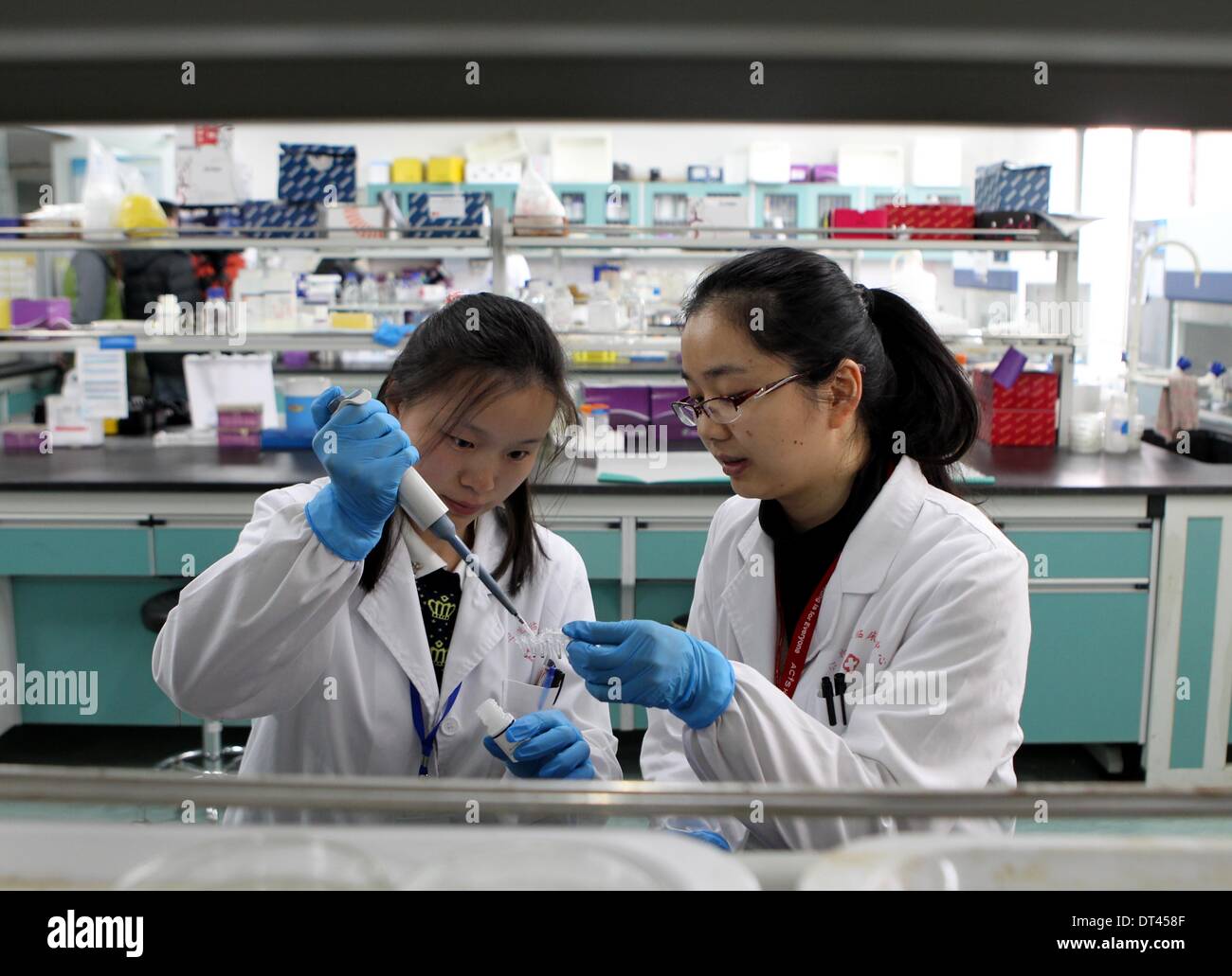 Shanghai, China. 8. Februar 2014. Forscher führen Sie Experiment auf H7N9-Vogel-Grippe-Impfstoff bei Shanghai Public Health Clinical Center in Shanghai, Ost-China, 8. Februar 2014. Beamten mit Shanghai Public Health Klinikum bekannt, dass ihre gentechnisch hergestellte Impfstoff gegen Vogelgrippe H7N9 vorläufige Tierversuche von Labormäusen übergeben. Bildnachweis: Liu Ying/Xinhua/Alamy Live-Nachrichten Stockfoto