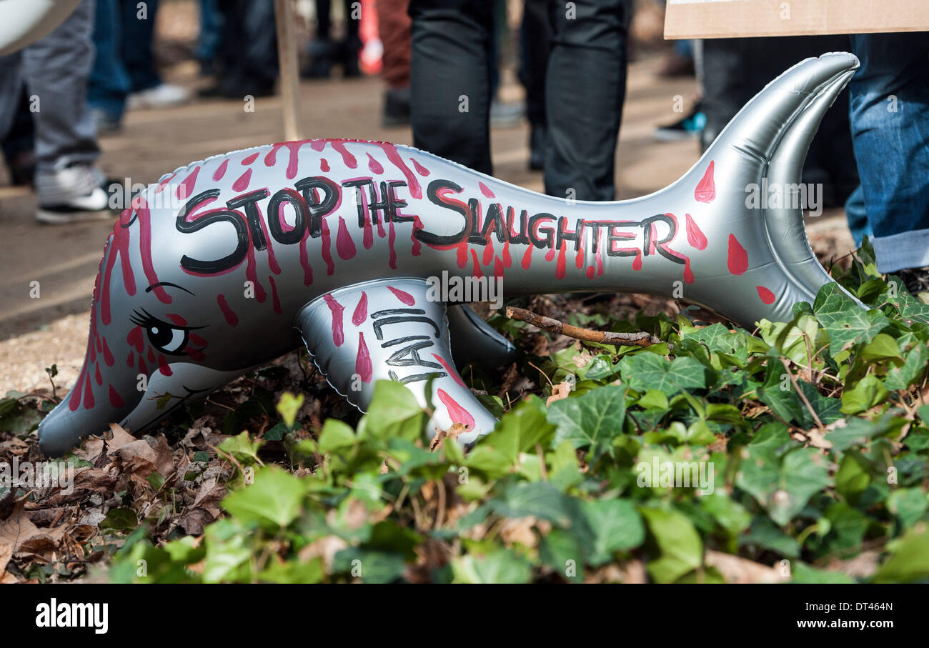 Berlin, Deutschland. 8. Februar 2014. Eine aufblasbare Delphine mit der Aufschrift "Stop die Schlachtung" bei einer Demonstration gegen die Tötung von Delfinen in Taiji (Japan), abgebildet ist die von Tierrechten organisiert wurde Gruppe WDSF in Berlin. Nach Angaben der Polizei rund 1000 Menschen demonstrierten gegen die Tötung von Delfinen die japanische Küste vor der japanischen Botschaft in Berlin. . Foto: PAUL ZINKEN/DPA-NO WIRE SERVICE/KEIN BILDFUNK - Credit: Dpa picture-Alliance/Alamy Live News Stockfoto