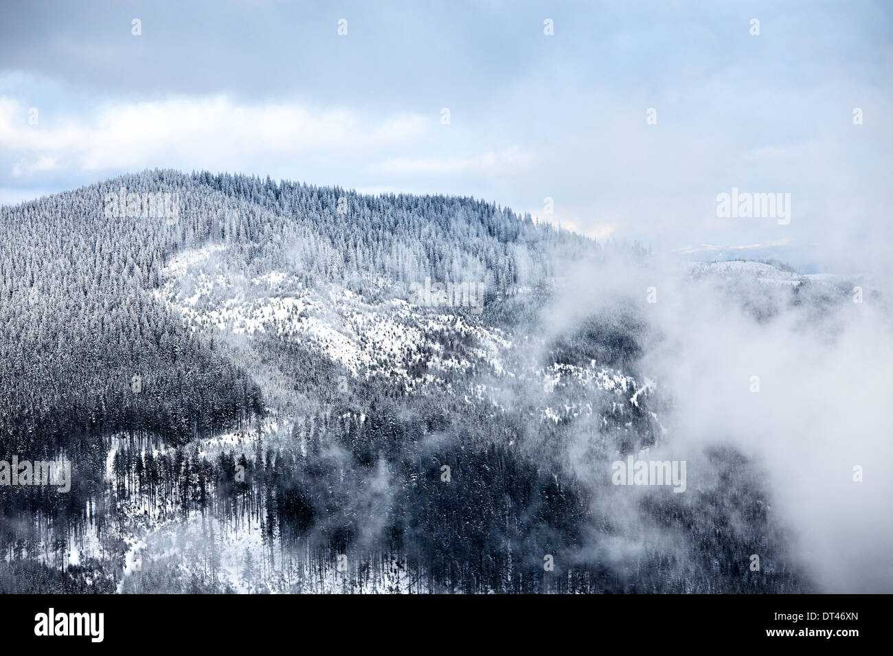 Winter am großen Smoky Mountain Stockfoto