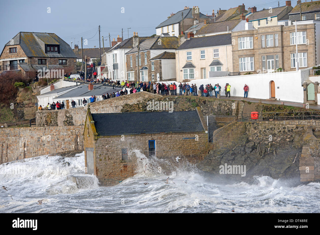 Porthleven, Cornwall, UK. 8. Februar 2014. Watchers heraus zu stürmen, in Kraft am Hafendamm Hafen Credit: Bob Sharples/Alamy Live News Stockfoto
