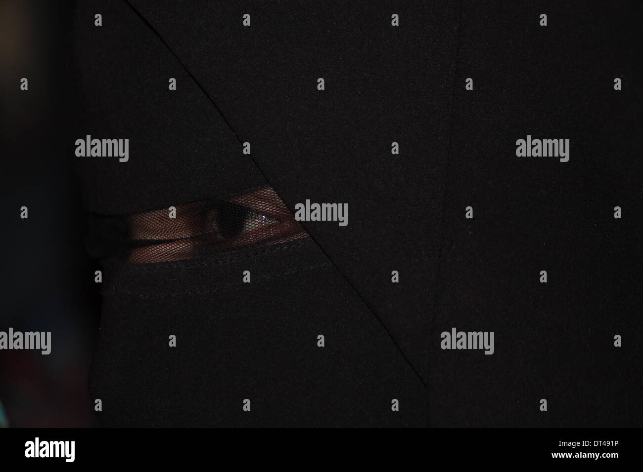 Premchand Rangasala, Patna, Bihar, Indien, 8. Februar 2014. Gebannte Publikum genießt als Ranjan Ali Kawal und Partei von Punjab, Indien spielt Lied "Duma Dum Mast Kalandar" während der ersten Sufi Sutra-Festival am Ende des Winterabend für den "Weltfrieden". Bildnachweis: Rupa Ghosh/Alamy Live-Nachrichten. Stockfoto