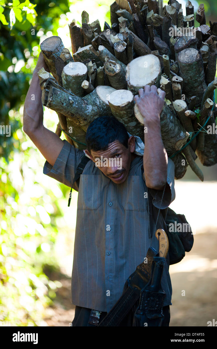 Ein Mann trägt einen großen Stapel von Brennholz zu seinem Haus, einen Rumpf in Ataco, einer kleinen Stadt auf der Ruta de Las Flores in El Salvador. Stockfoto