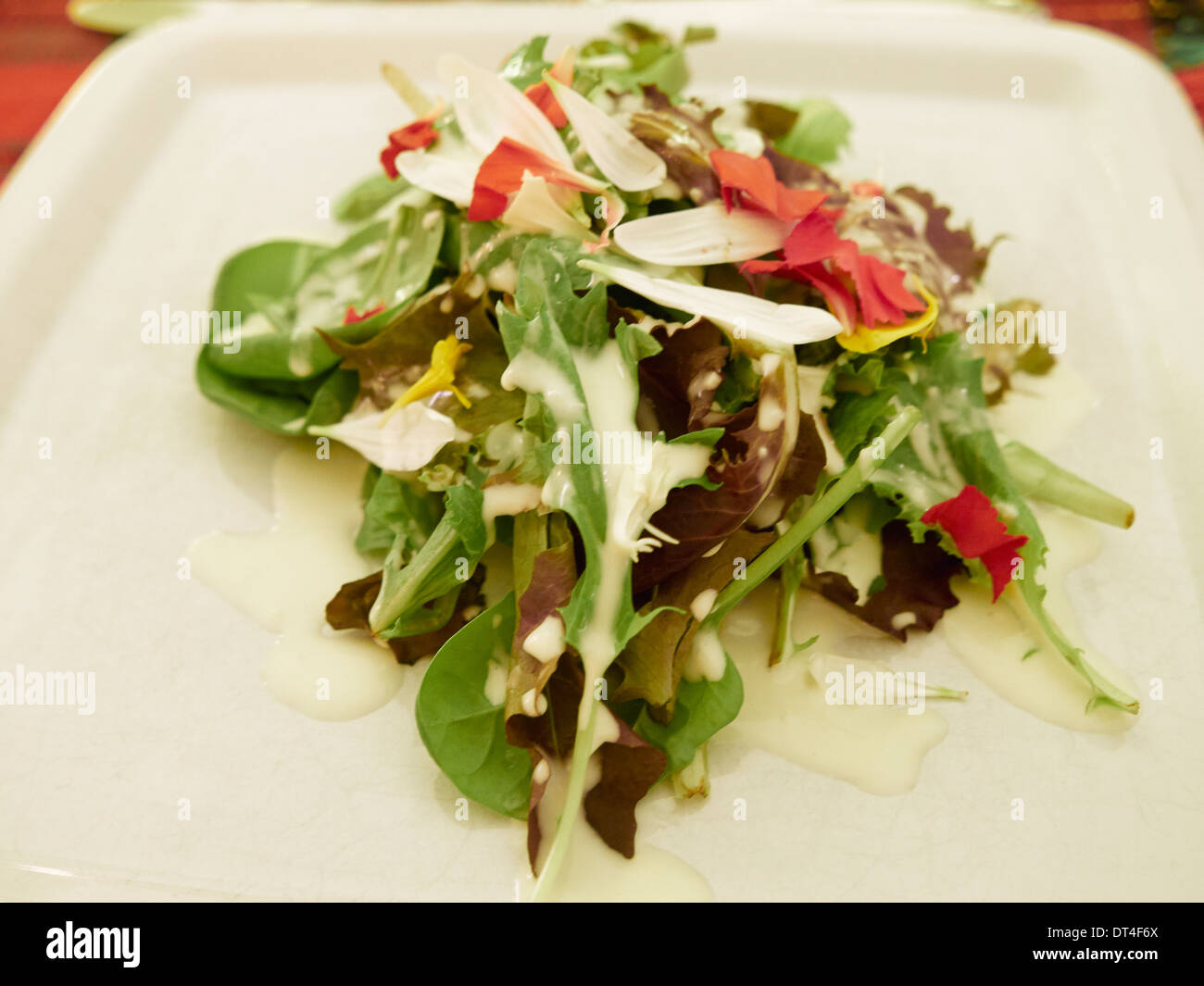 Elegant Salatblätter mit gemischten Salat, essbare Blumen und Ranch Dressing Buttermilch Stockfoto