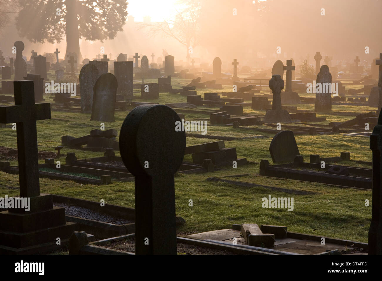 Nebligen Morgen auf dem Wolvercote Cemetery in Oxford Stockfoto