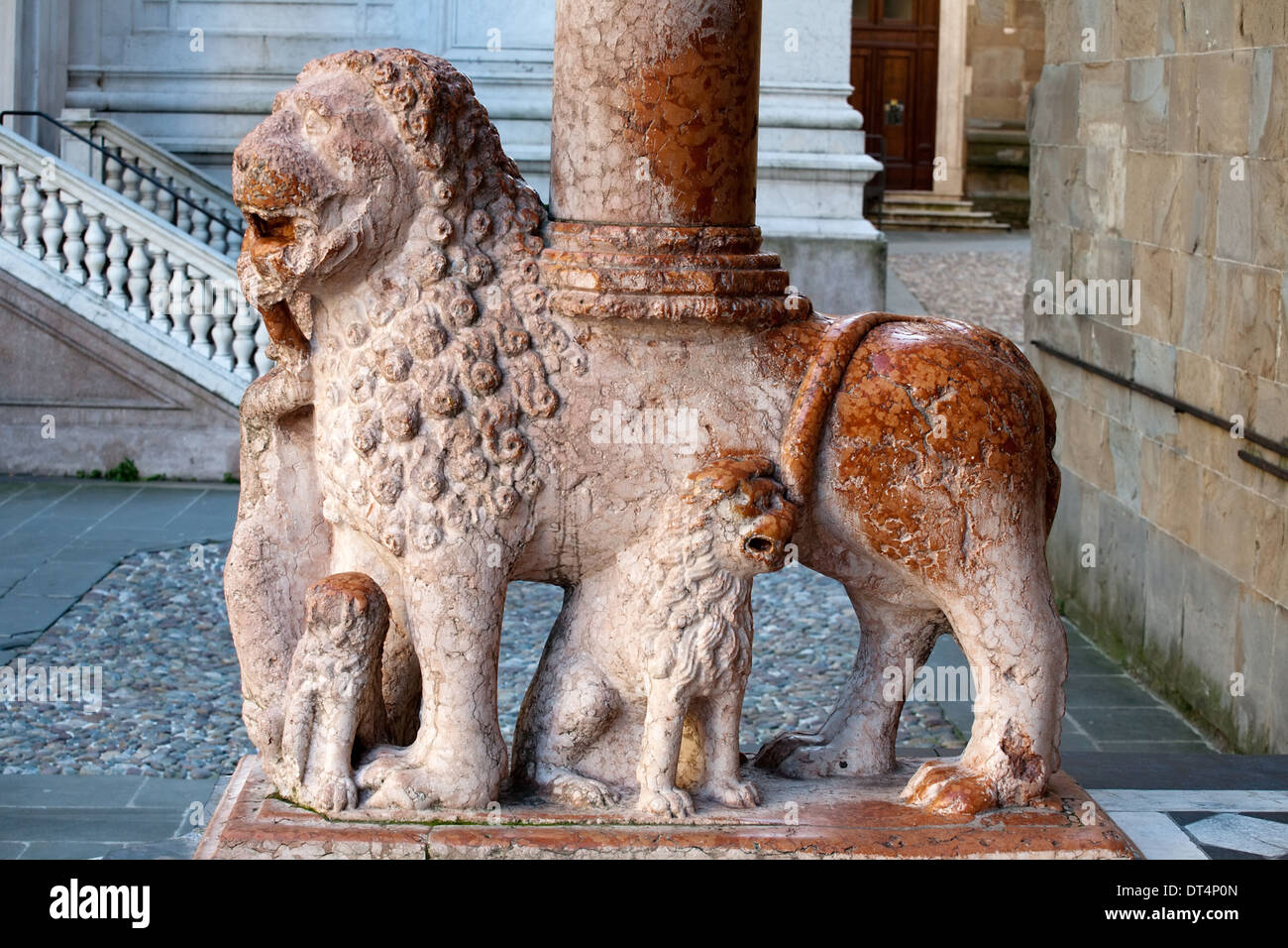roter Stein Löwe Spalte der Kapelle Colleoni in Bergamo (Italien), Nahaufnahme der Dekoration Stockfoto