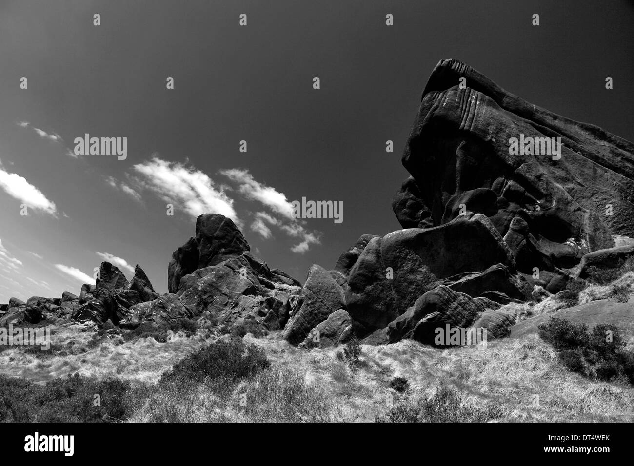 Sommer-Blick auf die Felsformationen des Ramshaw Felsen, Staffordshire, England, UK Stockfoto