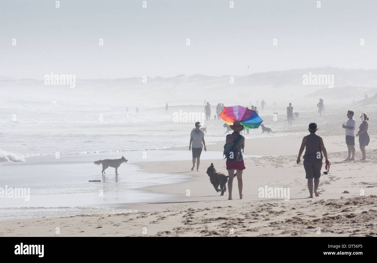 Rothaarige Strand Frau mit Baby auf Rücken Hund spazieren und tragen bunte Sonnenschirm Rothaarige Newcastle NSW Australia Stockfoto