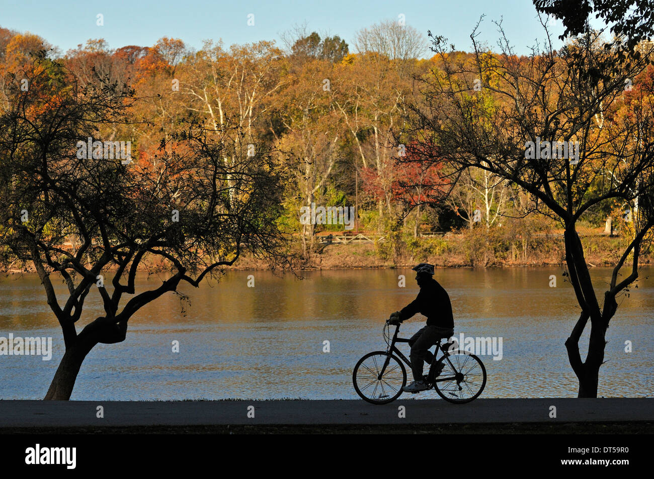 Mann mit seinem Fahrrad an einem schönen Herbstmorgen am Kelly Drive in Fairmount Park, Philadelphia, Pennsylvania, USA. Stockfoto