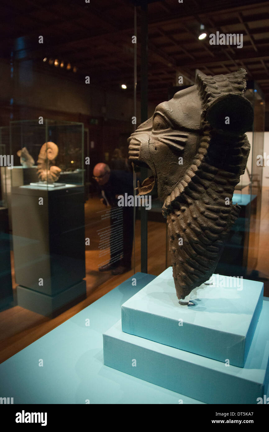 Ausstellung "Entdeckungen - Kunst, Wissenschaft & Exploration" von der University of Cambridge Museen, zwei Tempel Place, London Stockfoto