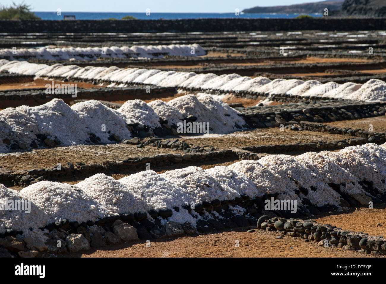 Meer-Salz-Produktion Stockfoto