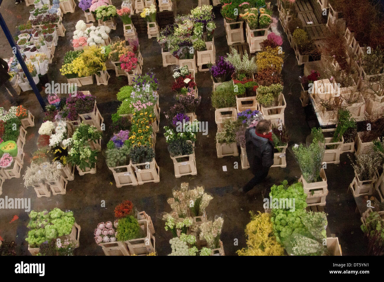 London UK. 10. Februar 2014. Großhandelsmarkt Anbieter verkaufen Blumen in neue Covent Garden Flower Market Strumpf eine Vielzahl von Blumen und Pflanzen in der Woche läuft bis zum St. Valentines Day. Das britische Volk verbringen mehr als 50 Millionen Pfund auf Blumen für Valentines Credit: Amer Ghazzal/Alamy Live-Nachrichten Stockfoto