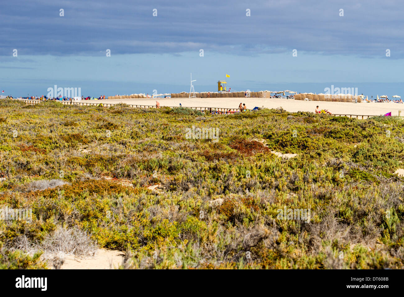 Strände von Fuerteventura Stockfoto