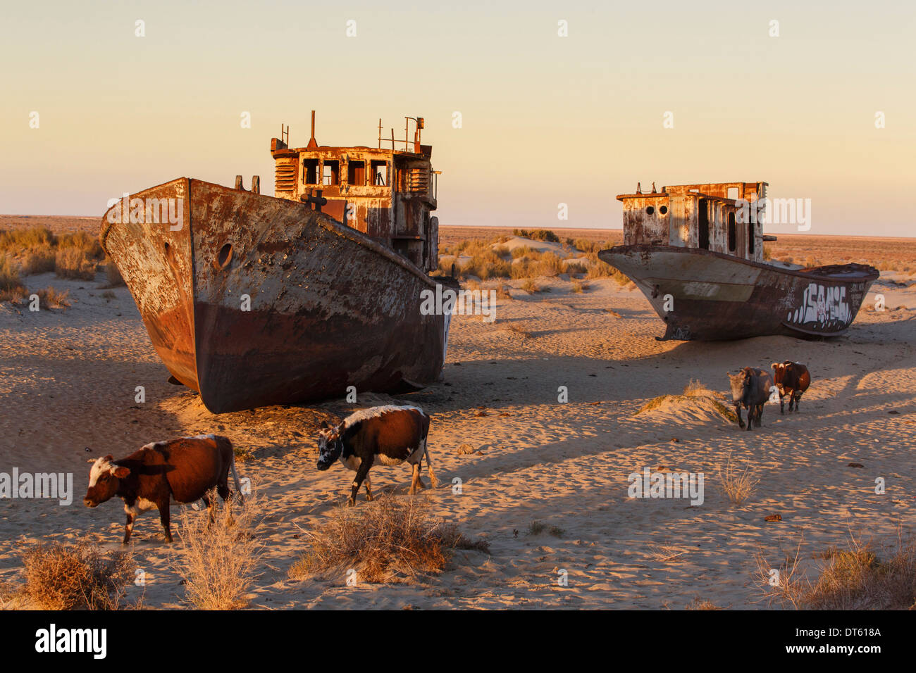 Schiffsfriedhof in der Nähe der ehemaligen Hafen Moynaq am Aralsee, Usbekistan. Stockfoto