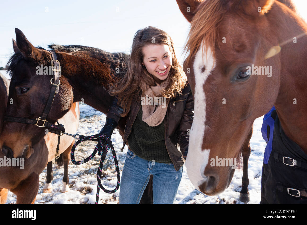 Junge Frau mit Pferden im Winter Feld Stockfoto