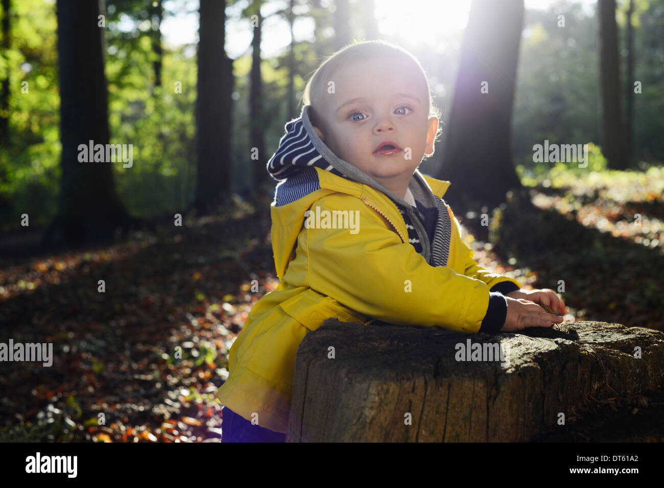 Porträt von männlichen Kleinkind Baumstumpf gelehnt Stockfoto