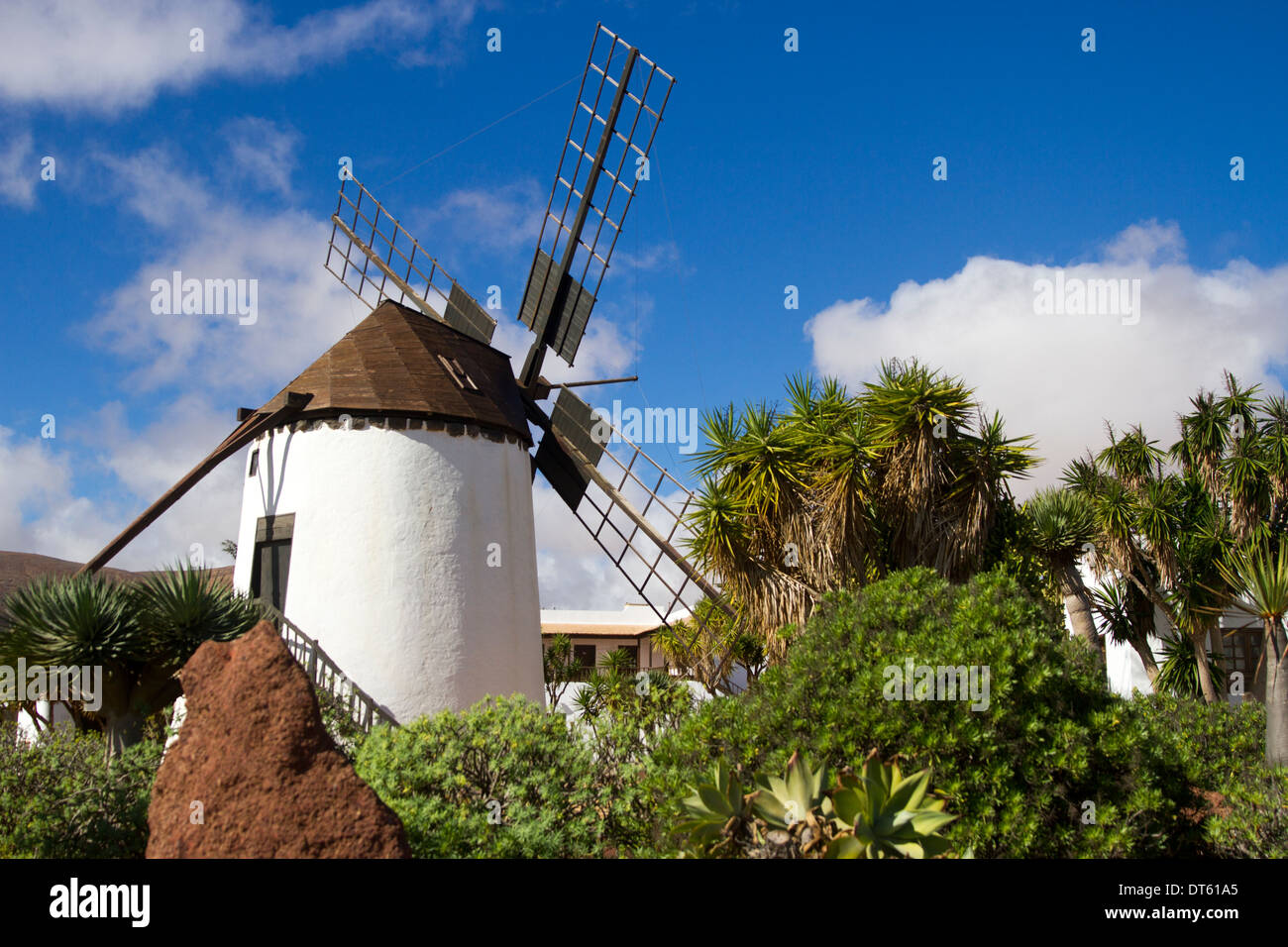 Windmühle von Antigua Stockfoto