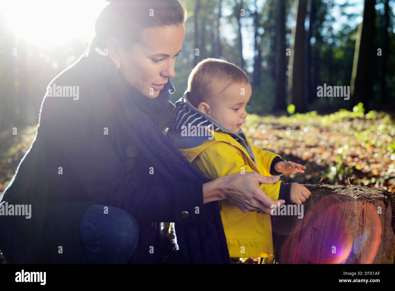 Mutter und junge Kleinkind Blick auf Baumstumpf Stockfoto