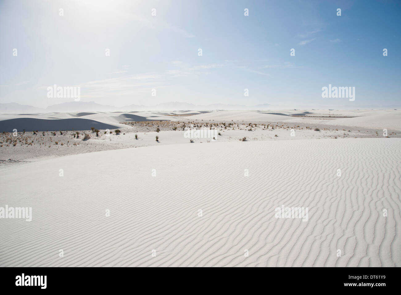 Sanddünen, White Sands, New Mexico, USA Stockfoto