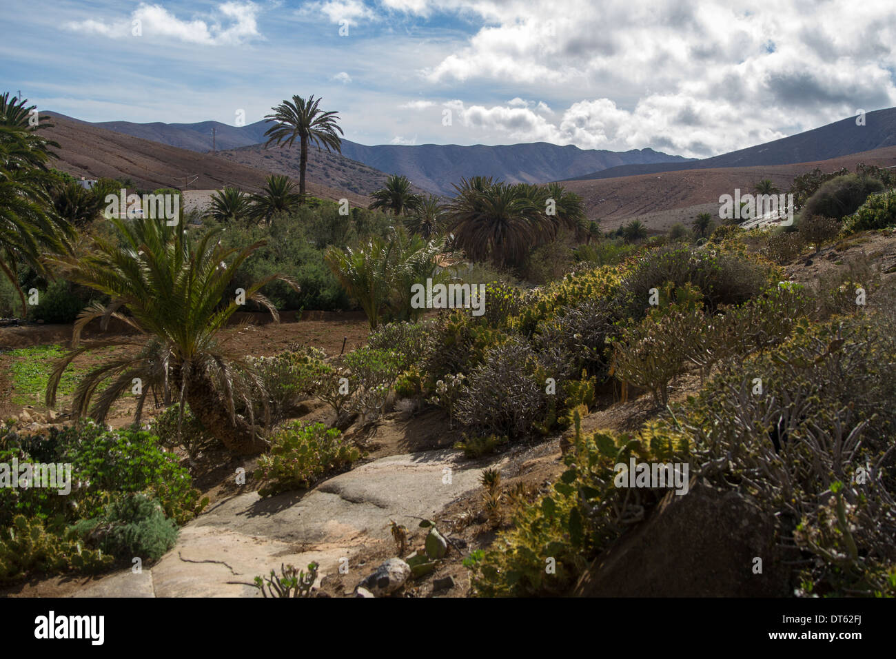 Blick auf Landschaft in Betancuria Stockfoto