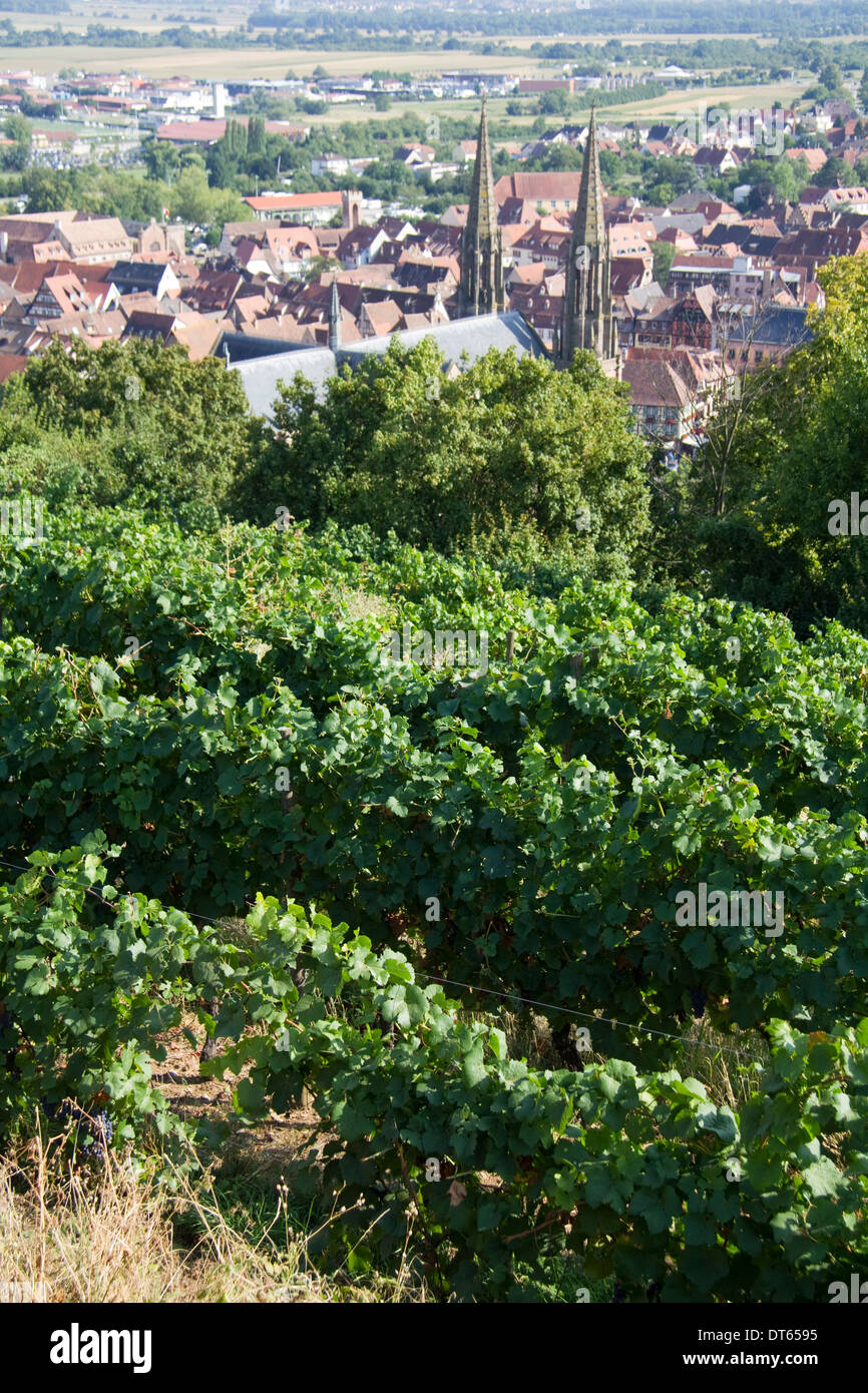 Ansicht von Obernai Elsass Frankreich Stockfoto